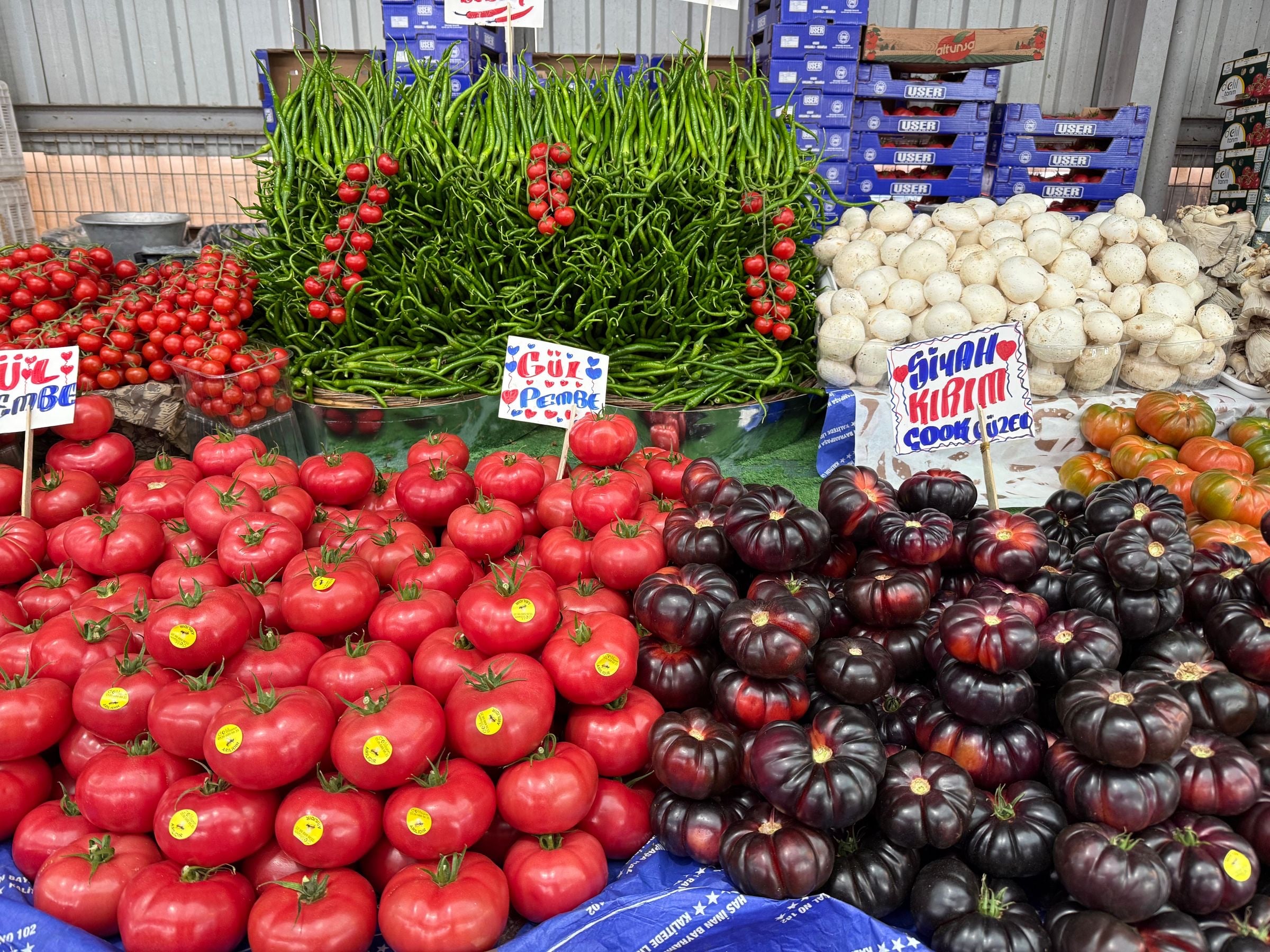 Verduras frescas bien acomodadas en la sección de frutas y verduras